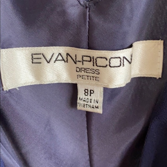 Simply Gorgeous Evan-Picone Dress - Picture 6 of 8